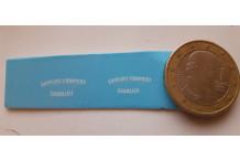 decals decalcomanie pompier charlieu 1/43