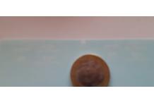 decals decalcomanie pompier communauté urbaine de lille 1euro  1/43