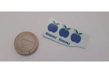 decals decalcomanie europe 1 1/43 renault 4cv cahier 1E